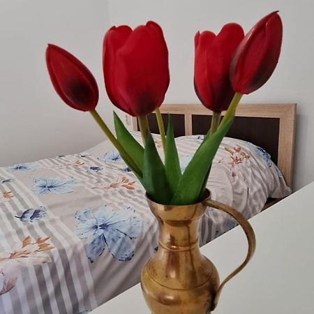 Studio Pico Kluž Exteriér fotografie